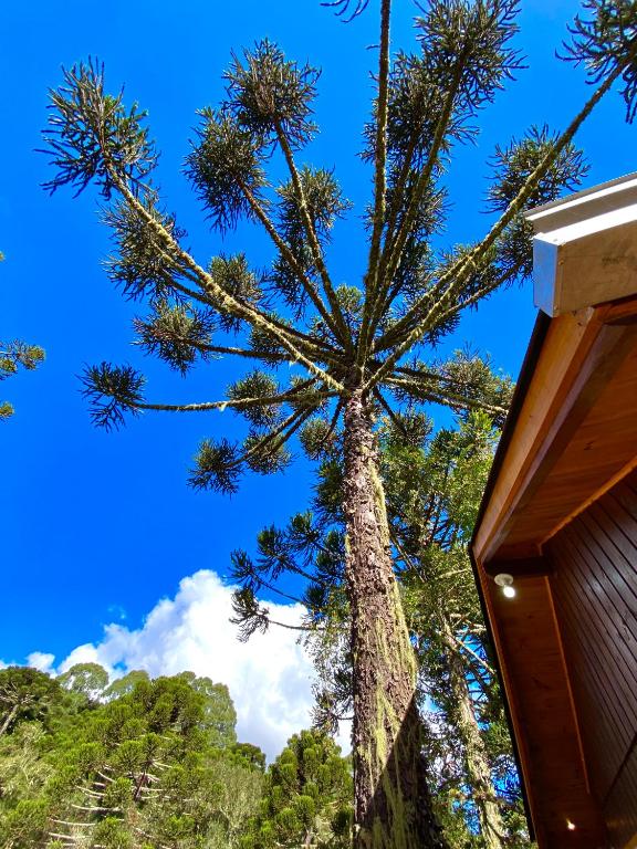 Fotografie z fotogalerie ubytování Cabanas Imbuia v destinaci Cambará
