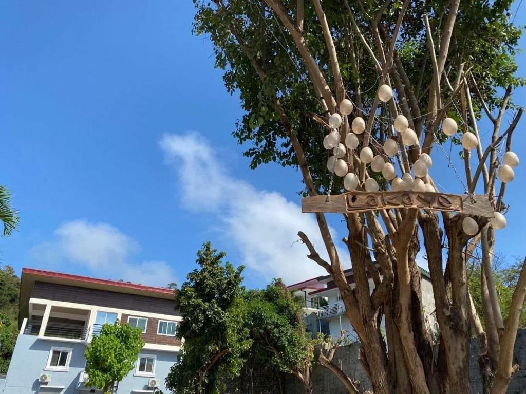 a tree in front of a building at Lakayo Hillside Apartelle in san juan la union