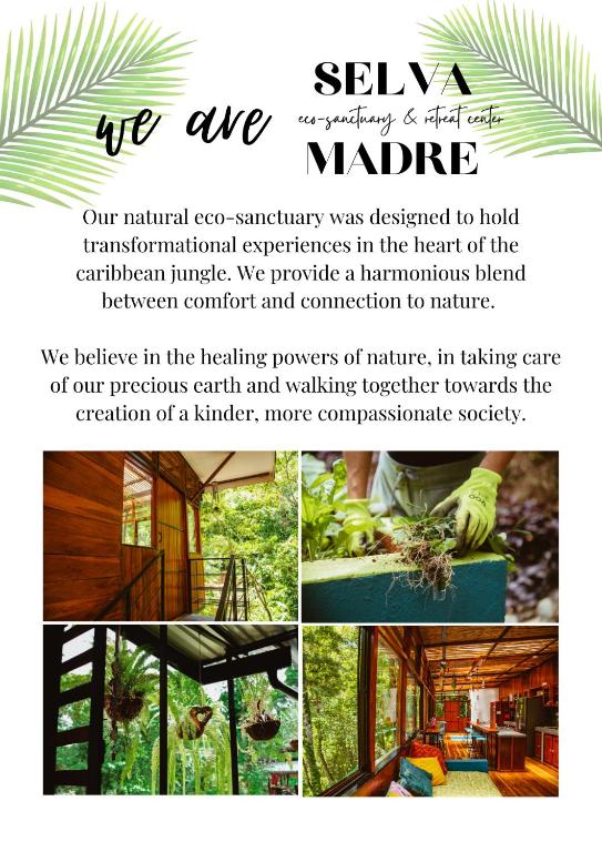 Fotografie z fotogalerie ubytování Selva Madre Eco-Sanctuary v destinaci Cahuita
