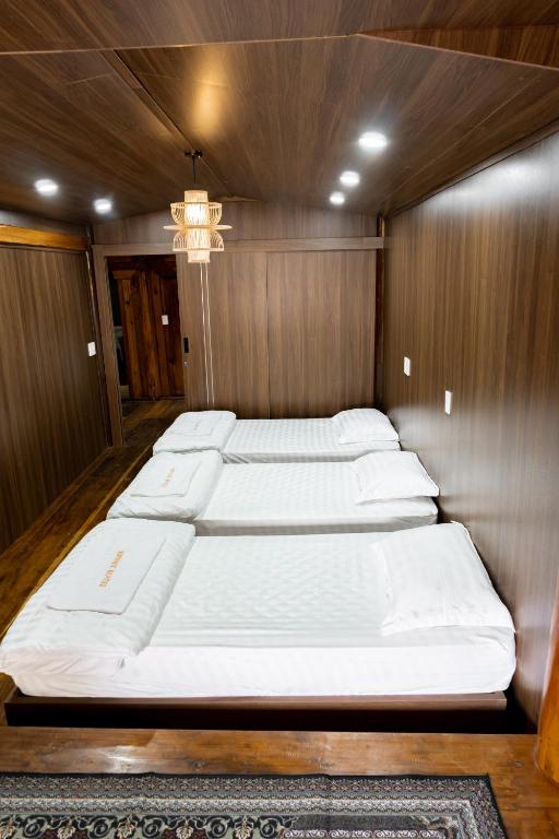 Odyssey Hostel, Tours & Motorbikes Rental - Mixed Dormitory Room