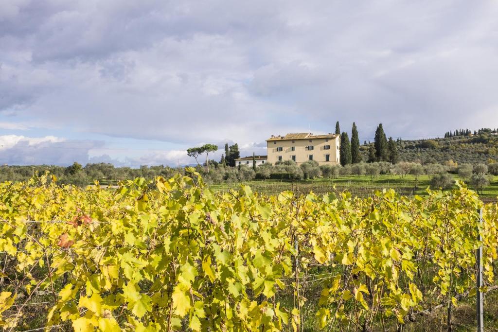 a field of yellow flowers with a house in the background at La Capannaccia in Scandicci