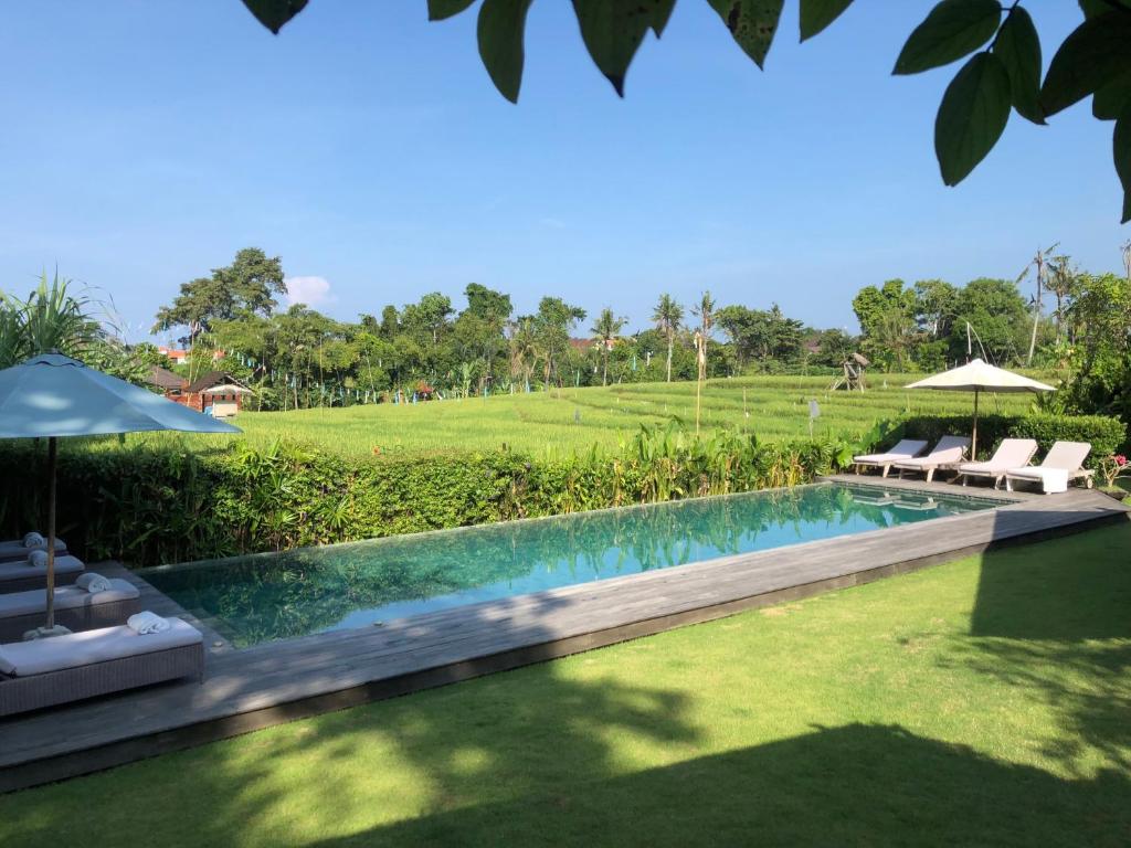 a swimming pool in a yard with chairs and umbrellas at Villa Artis in Canggu