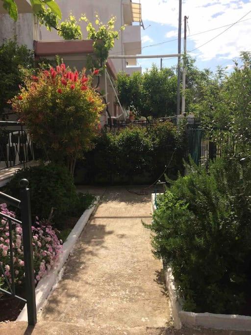 Zahrada ubytování Charming Cottage 2 Mins Walk to Beach