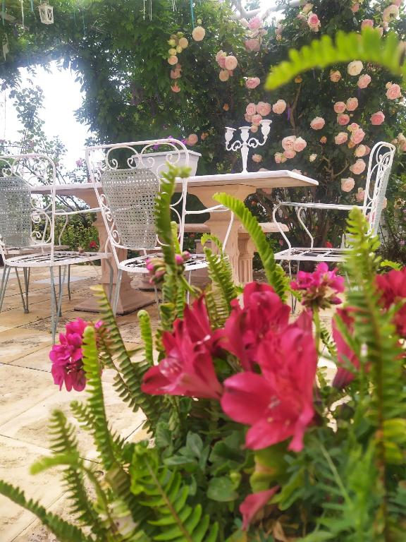 Vonkajšia záhrada v ubytovaní Olyna’s Apartment N.S Preveza