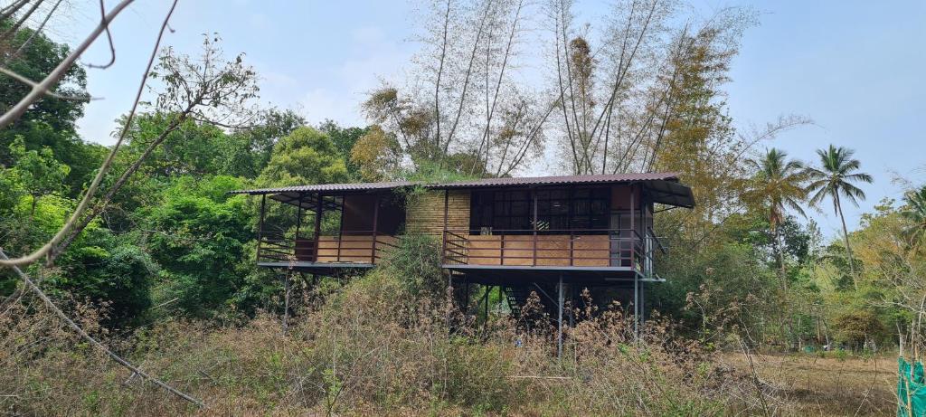 Deep Jungle Home Bandipur Mudumalai