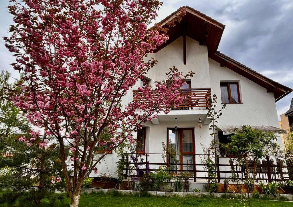 a tree with pink flowers in front of a house at Cristina House in Braşov