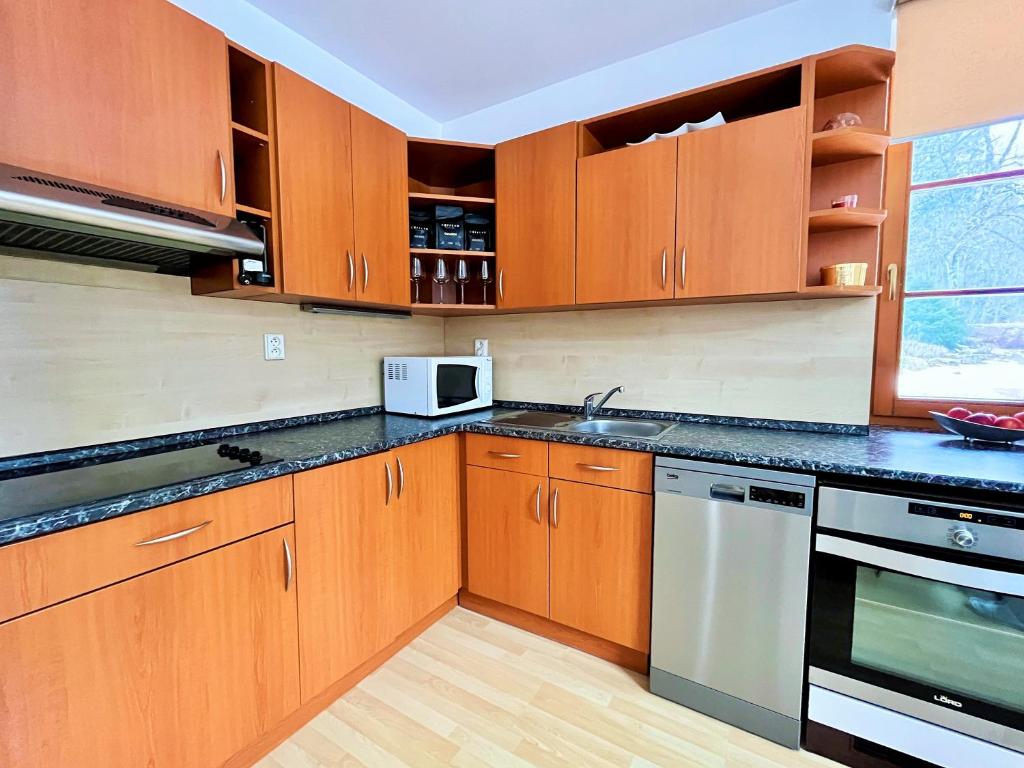 Kuchyň nebo kuchyňský kout v ubytování Apartmány Říčky III.