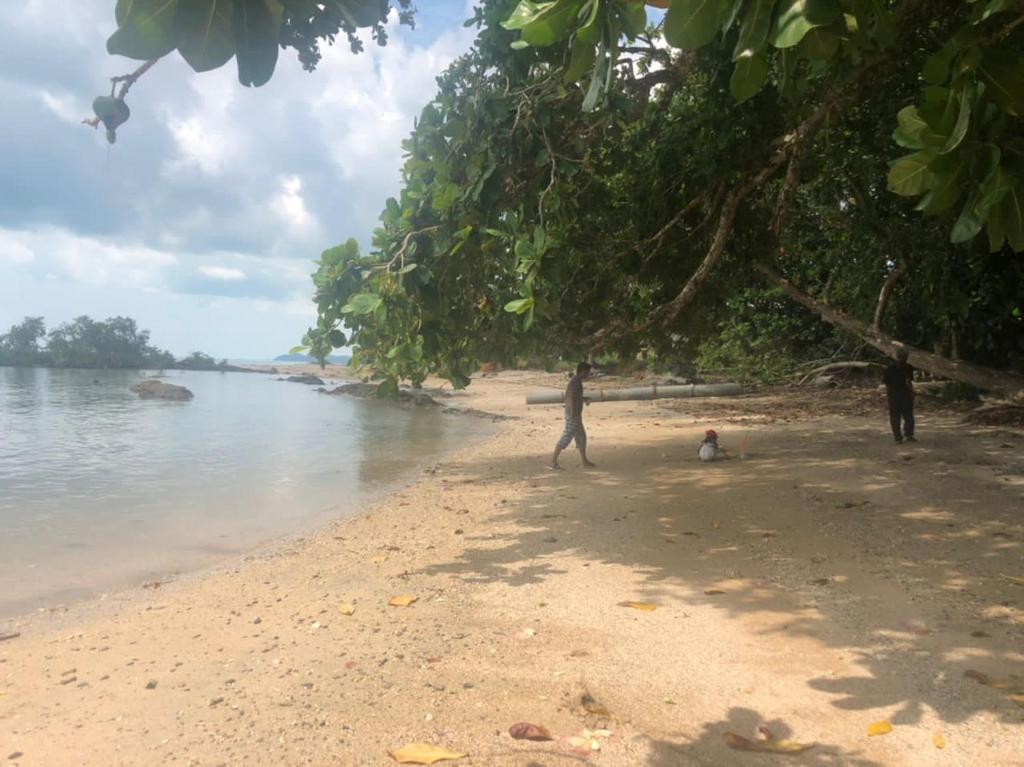 メ ルシンにあるRasa Sayang Homestay Mersingのサーフボード付き海岸に立つ2名