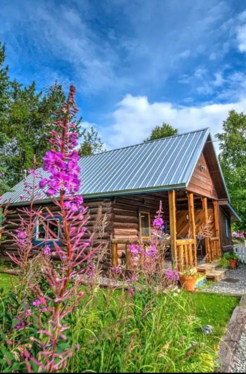 Auberge Black John’s cabin (USA Talkeetna)