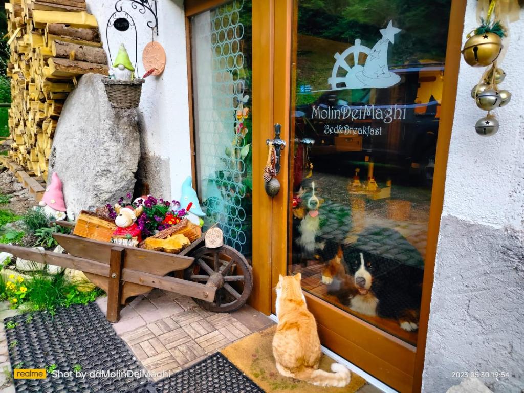 un gatto seduto davanti alla porta di un negozio di MolinDeiMaghi a Fondo