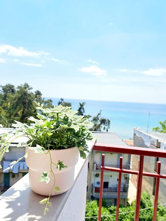 roślina doniczkowa siedząca na balkonie z widokiem na ocean w obiekcie Perla Sea View Apartments w miejscowości Nea Kallikratia