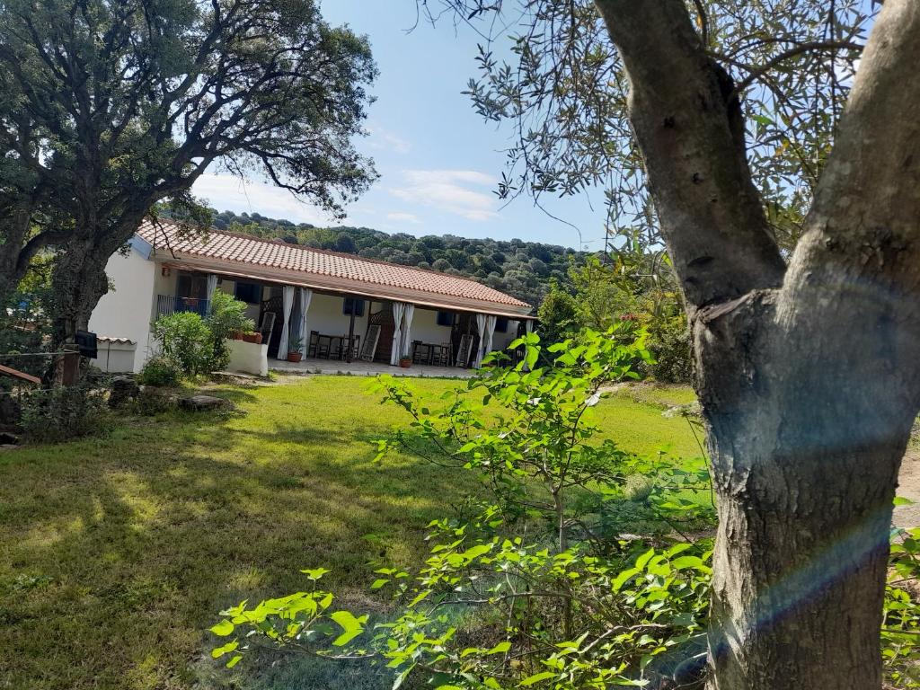 Blick auf ein Haus aus dem Garten in der Unterkunft L'Ulivo in Siniscola