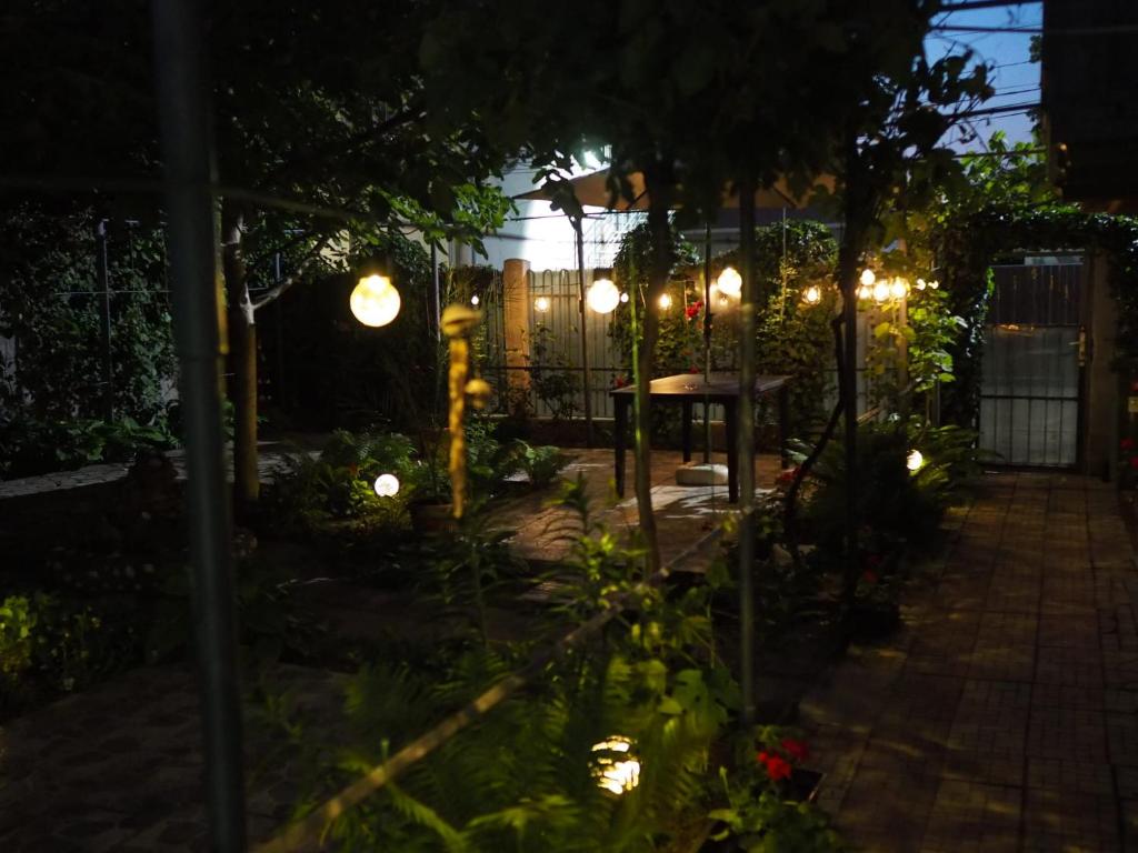 - un jardin éclairé la nuit avec des lumières dans l'établissement Casa de Vacanta Rodica, à Sulina