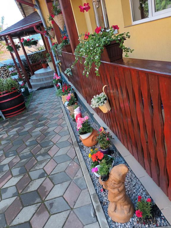 Zahrada ubytování Casa VIO