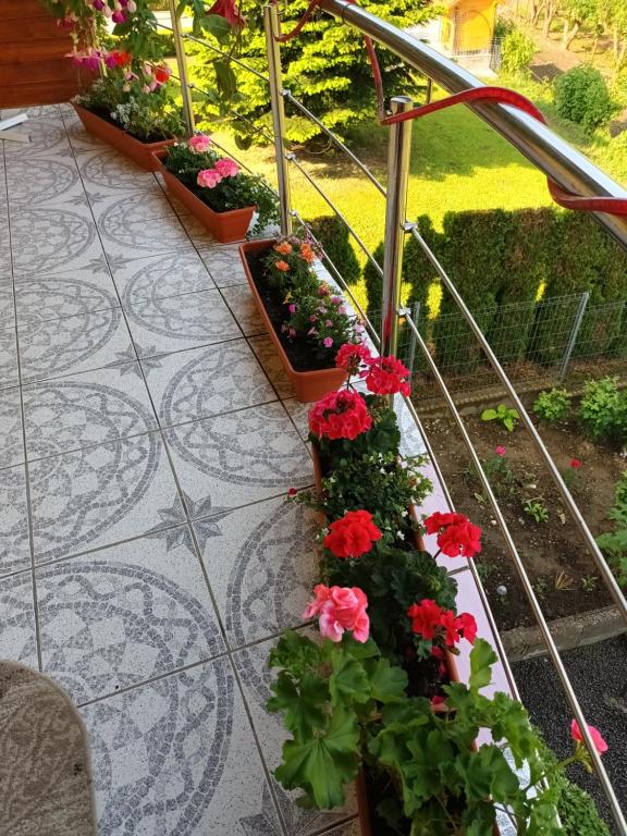 Zahrada ubytování Casa VIO