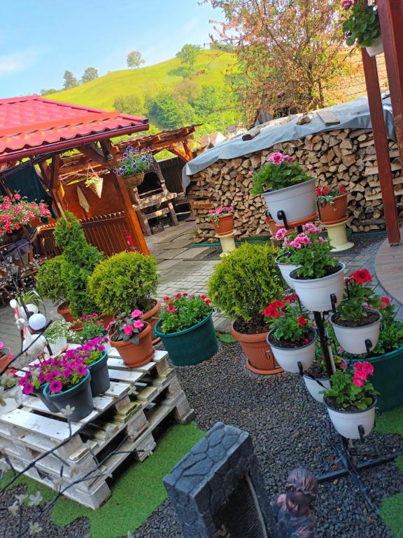 Zahrada ubytování Casa VIO