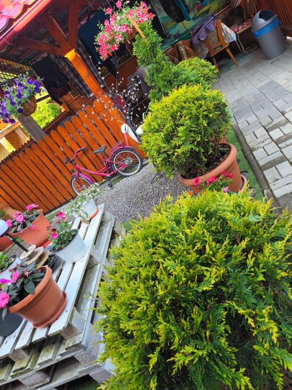 Zahrada ubytování Casa VIO