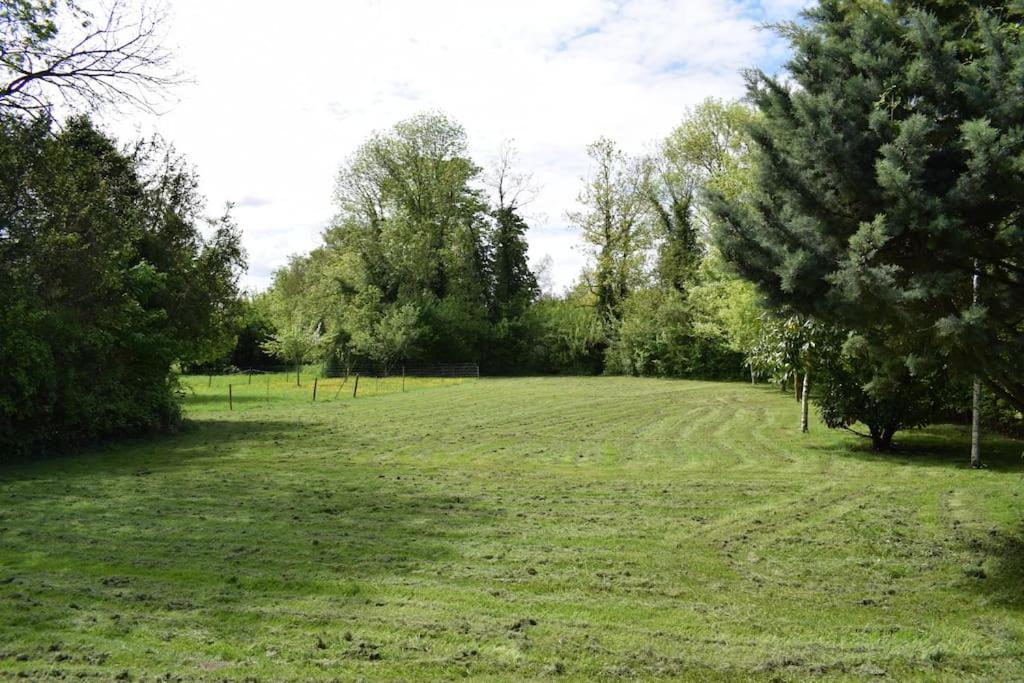 un grand champ d'herbe planté d'arbres en arrière-plan dans l'établissement Happiness la maison du bien-être (100 m2), à Béhencourt