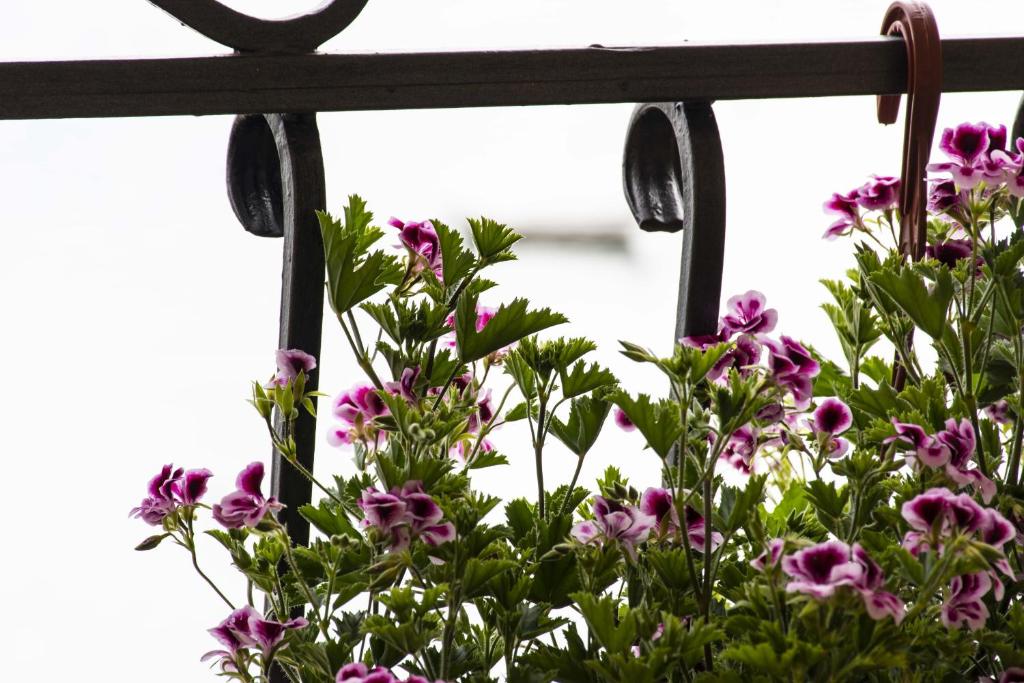 Mali Hotel Porat - 18