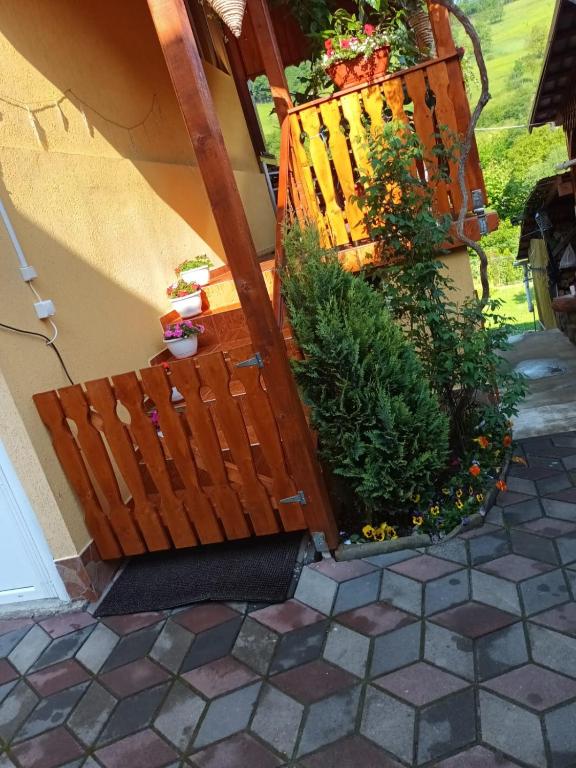 Zahrada ubytování Casa VIO
