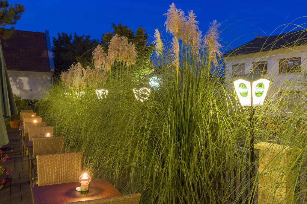 Zahrada ubytování Burgenländerhof Hotel Garni