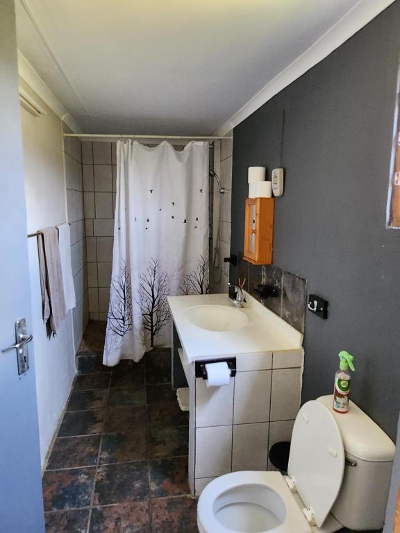 a bathroom with a toilet and a sink and a shower at Sky Cottage in Brits