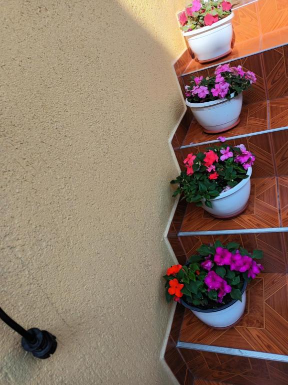 Fotografie z fotogalerie ubytování Casa VIO v destinaci Sighişoara