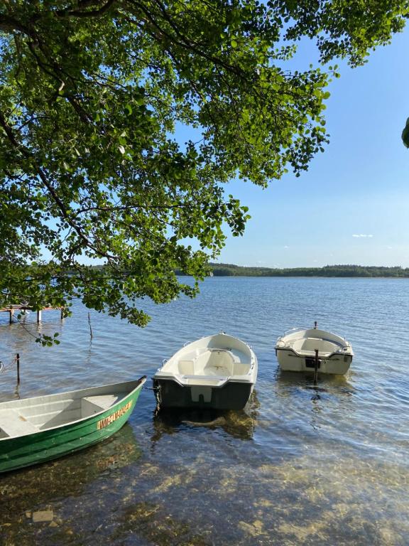 Príroda v okolí dovolenkového domu