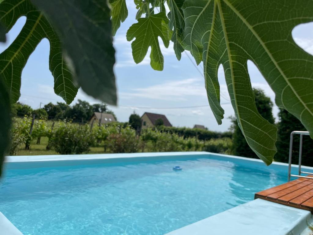 Bazén v ubytovaní Füge Vendégház alebo v jeho blízkosti
