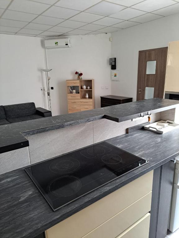 Kuchyň nebo kuchyňský kout v ubytování Apartmán pri Sokolovni