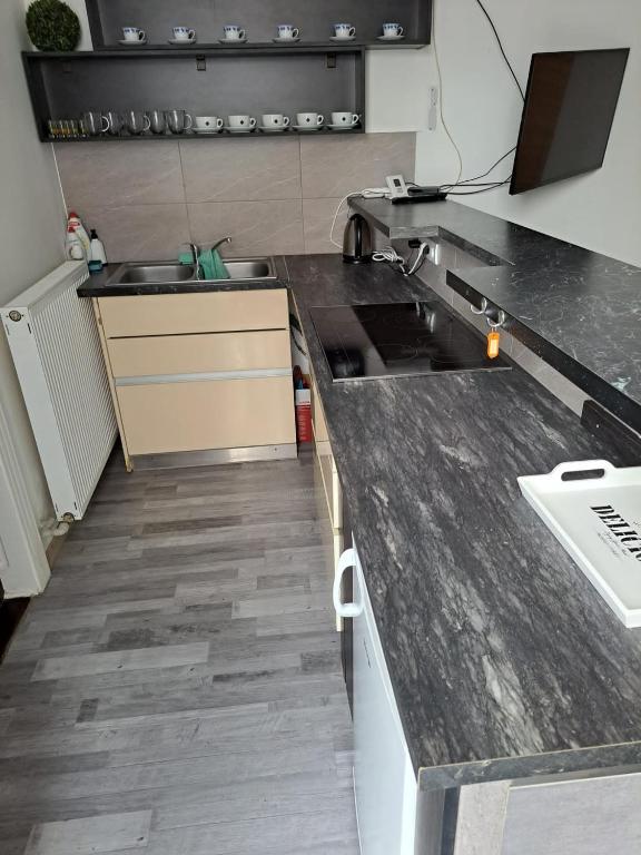 Kuchyň nebo kuchyňský kout v ubytování Apartmán pri Sokolovni