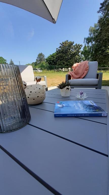 einen Tisch mit einem Buch darüber in der Unterkunft La Bucolique in Simandre