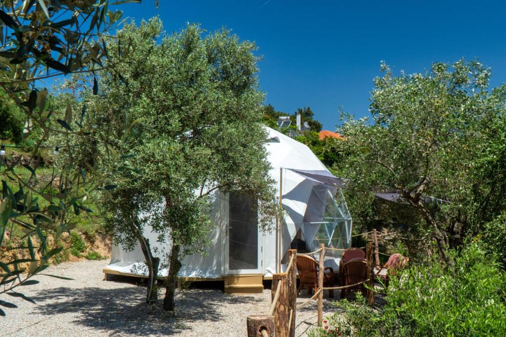 a glass dome tent in a yard with trees at luxury dome tents ikaria ap'esso in Raches
