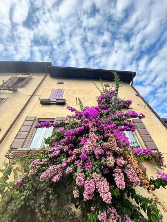 a hanging basket of flowers on the side of a building at La casa di Nonna Patti e Andy in Gardone Riviera