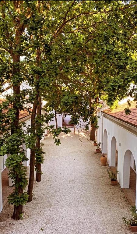 Zahrada ubytování Hacienda De Mare