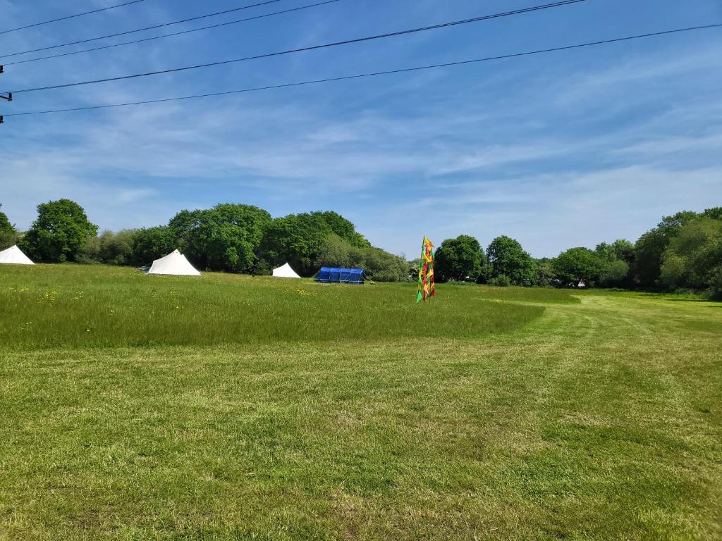 a kite in a field with tents in the background at Dorset Glamping Fields in Corfe Mullen