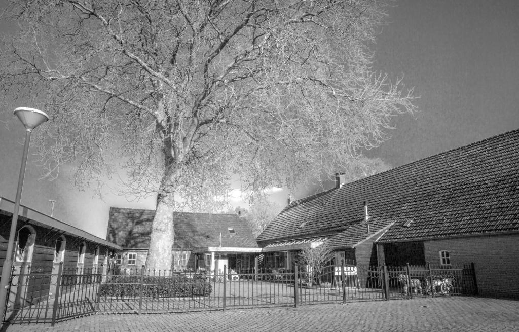 a tree in front of a building with a fence at Bed en Box 3610 in Oirschot