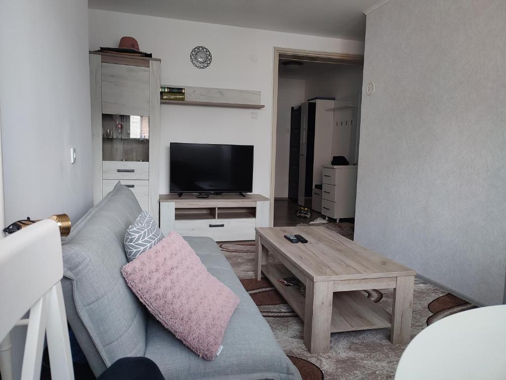 een woonkamer met een bank en een tv bij Apartman 1 in Foča