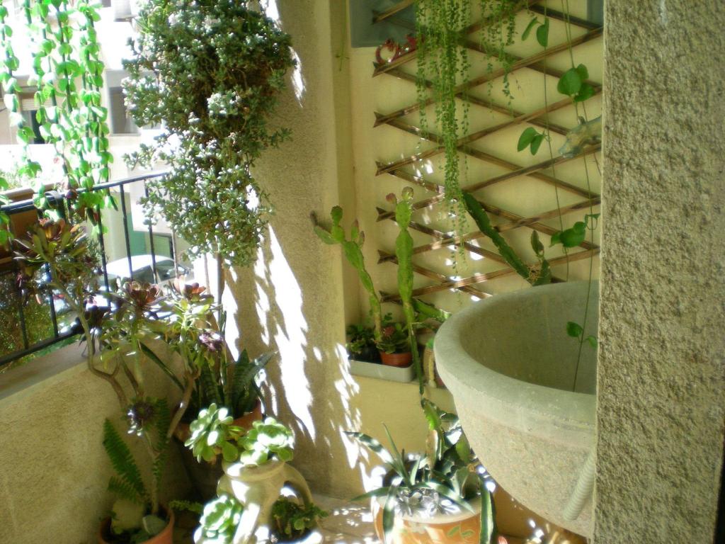 Ogród w obiekcie Orizzonte B&B