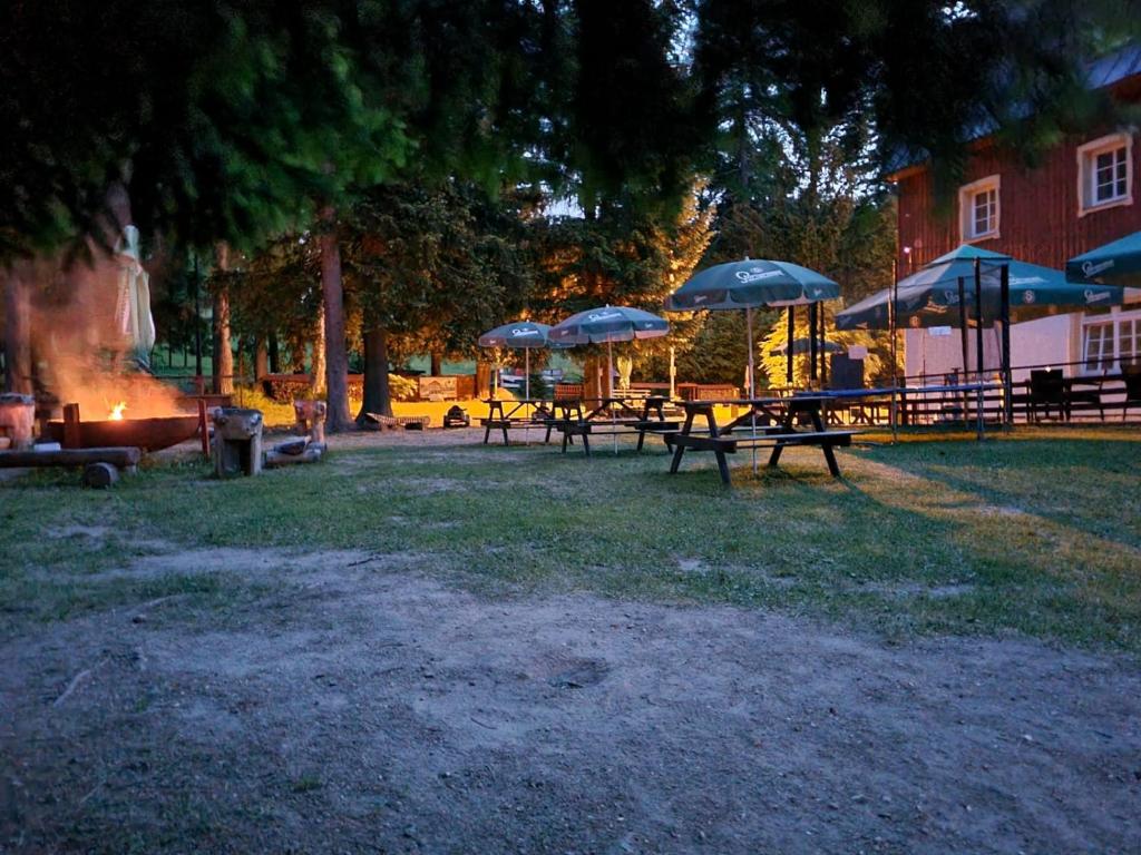 Zahrada ubytování Hotel Lesní Chata