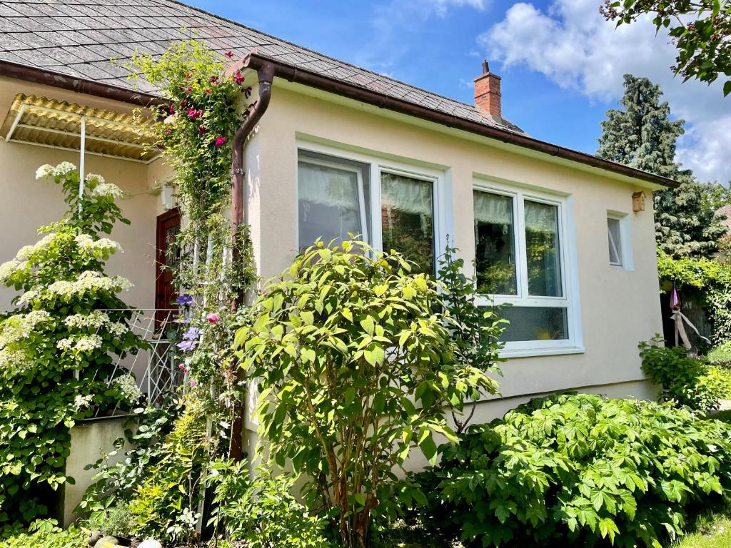 Landhaus mit Garten في Neutal: منزل عليه زهور