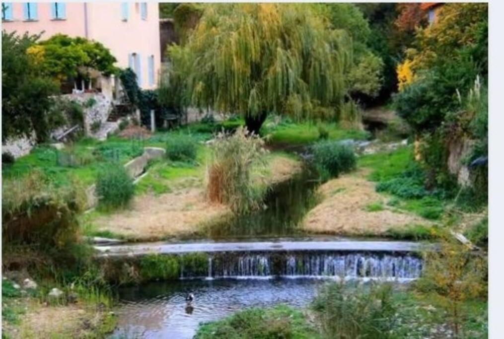 a pond in a park with ducks in the water at Andre in Ollioules