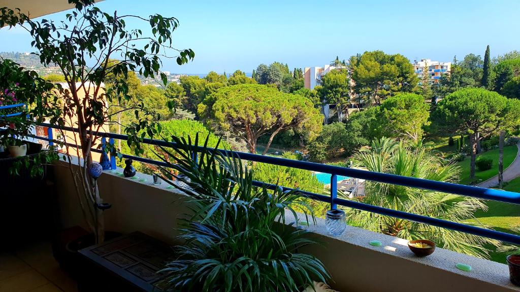 Photo de la galerie de l'établissement BEAU T1 CANNES PISCINE TENNIS, à Cannes