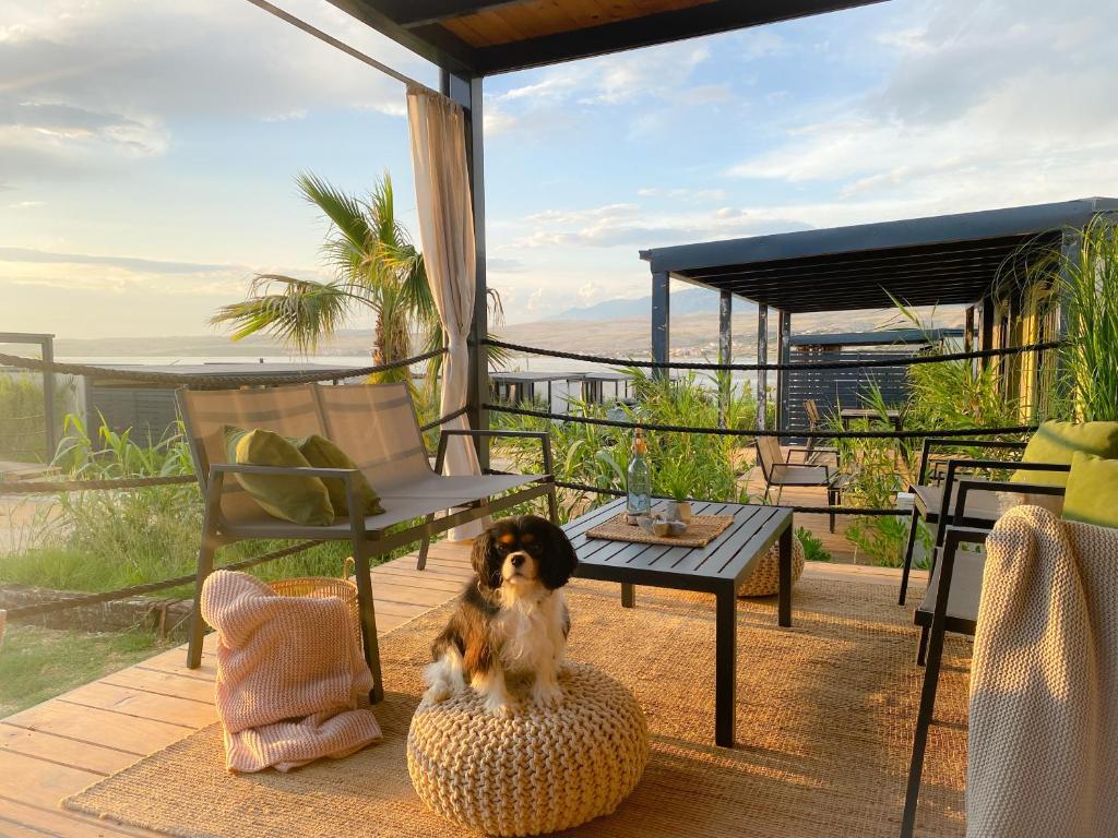 un chien assis sur un oreiller sur une chaise sur une terrasse dans l'établissement SEAYA mobile home - Terra Park SpiritoS, à Kolan