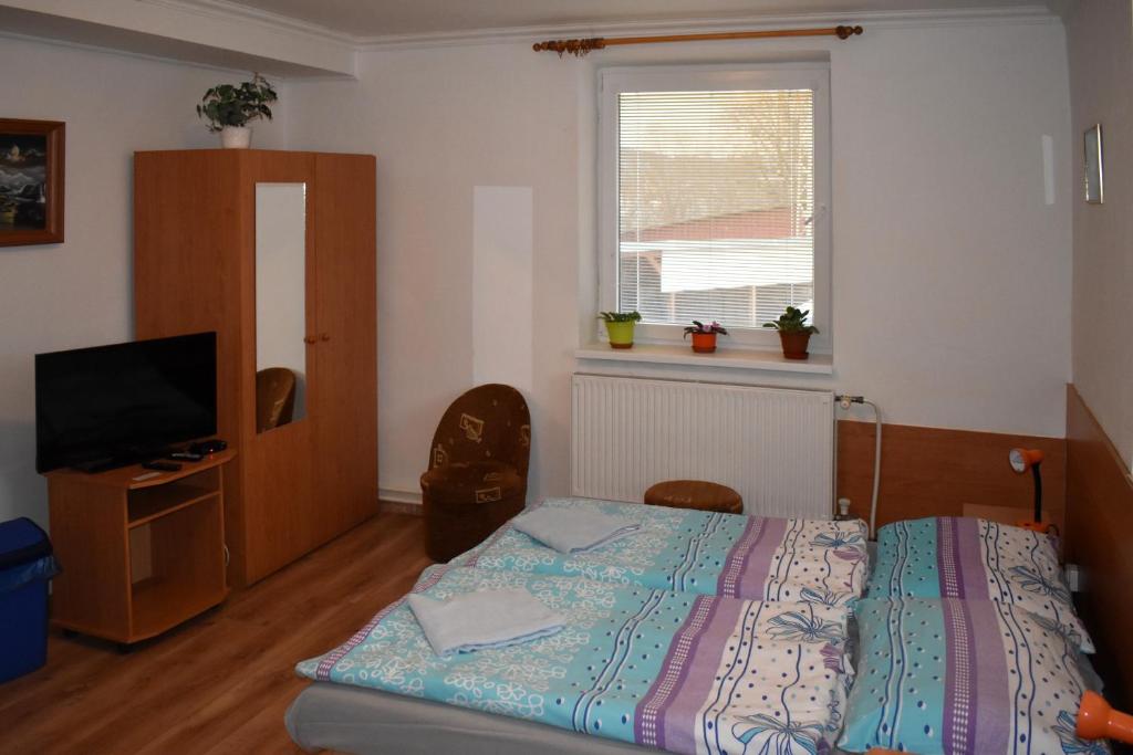 a bedroom with a bed and a television and a window at Penzión Ivana in Bardejov