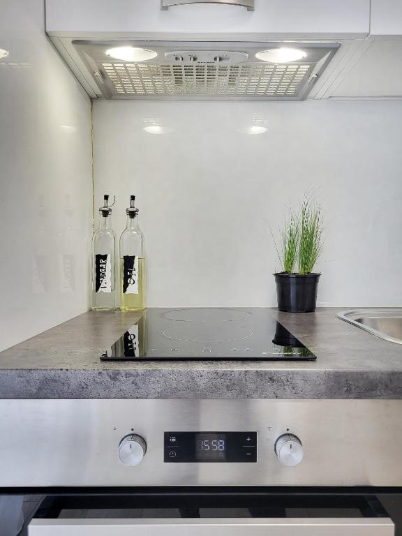 Kuchyňa alebo kuchynka v ubytovaní Rosemarie Beach Suites Zadar