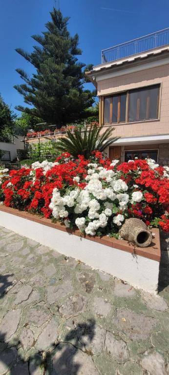 Ogród w obiekcie Villa Cristina - De Vivo Realty Piano di Sorrento