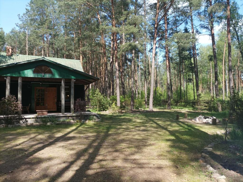une maison au milieu d'une forêt dans l'établissement Fantastyczny dom w lesie, à Długosiodło