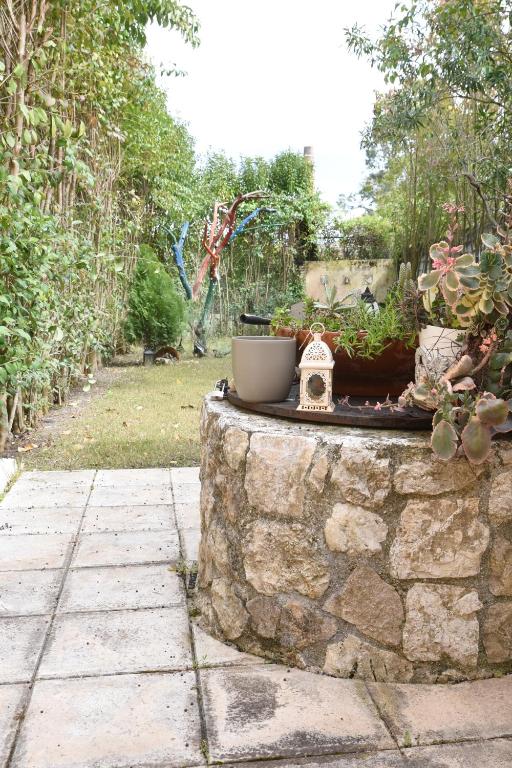 Villa Maxim in Corfu Town - 9