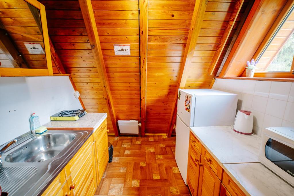 a small kitchen with a sink and a refrigerator at Complex Malina Pamporovo in Pamporovo